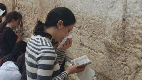 娱乐吃瓜君堂主,揭秘娱乐圈幕后真相,带你领略明星们的真实生活