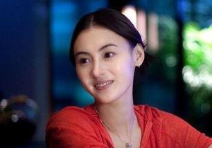 娱乐圈吃瓜张柏芝和谢霆锋,娱乐圈的恩怨情仇